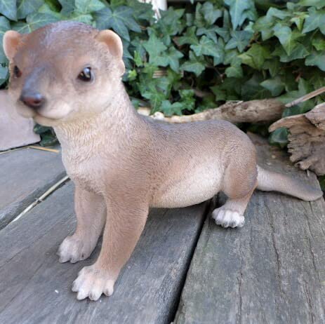 置物まとめ売り Amazon.co.jp: カワウソの置物 コツメカワウソ 179QY 動物